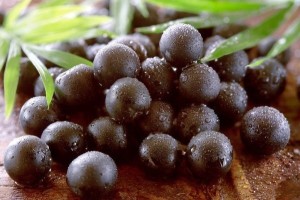 acai-berry-fuente-de-antioxidantes-naturales-600x399